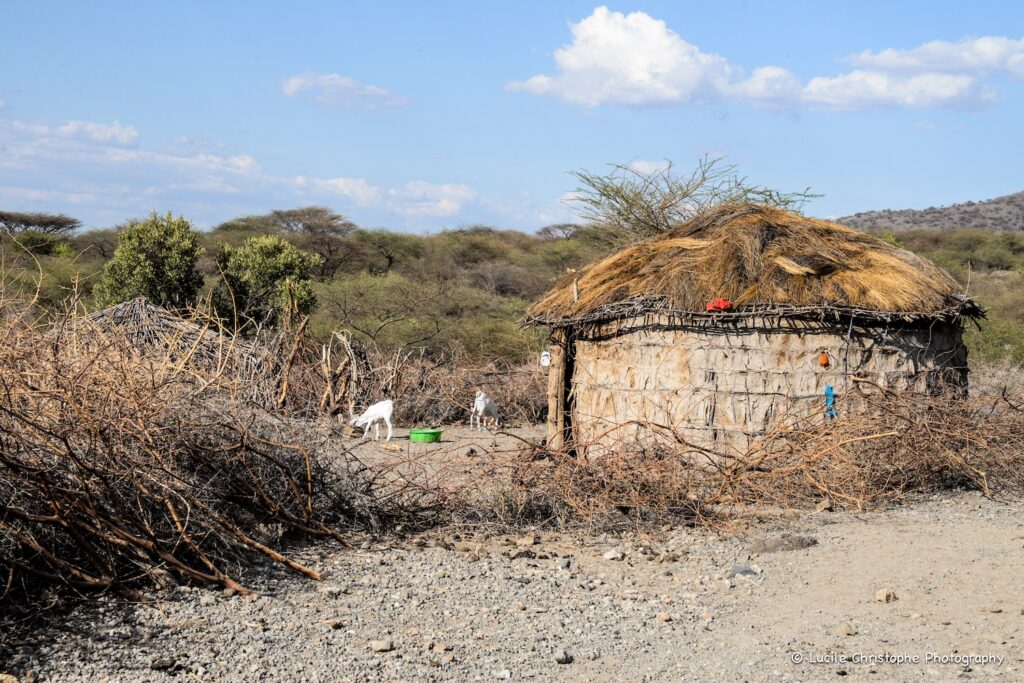 Boma Maasaï au Lac Natron, lieu accueil de l'immersion