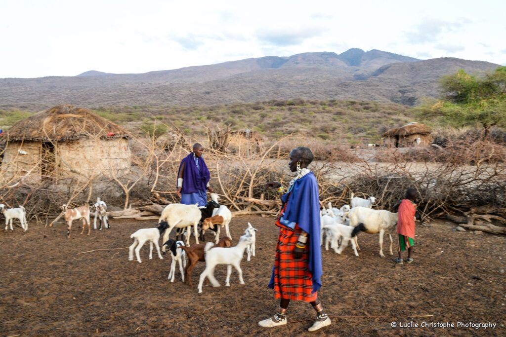 Boma Maasaï au Lac Natron, lieu accueil de l'immersion