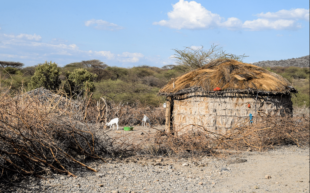 Boma Maasaï au Lac Natron, lieu accueil de l'immersion