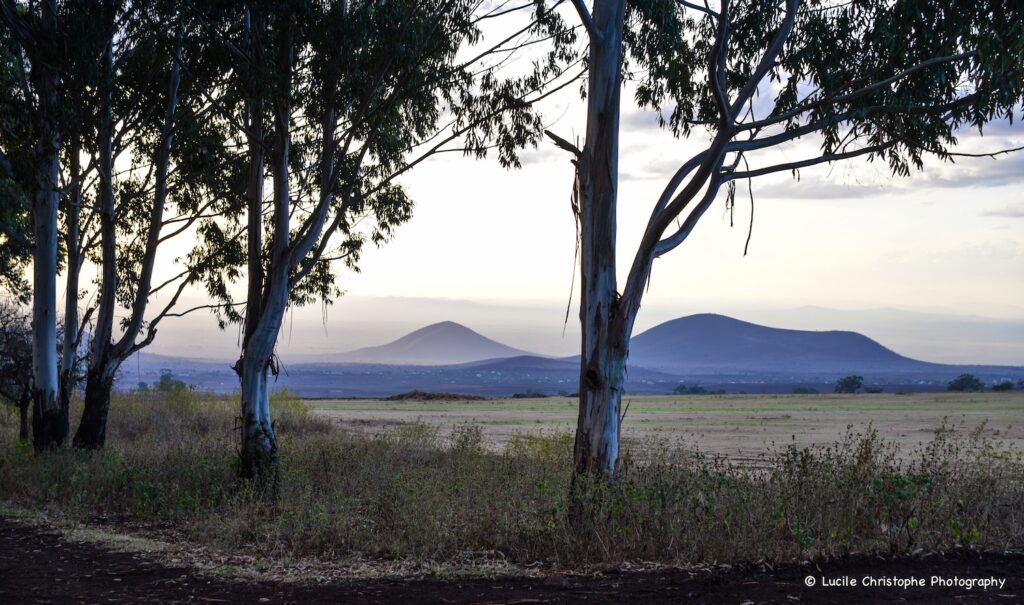 Campagne Tanzanienne