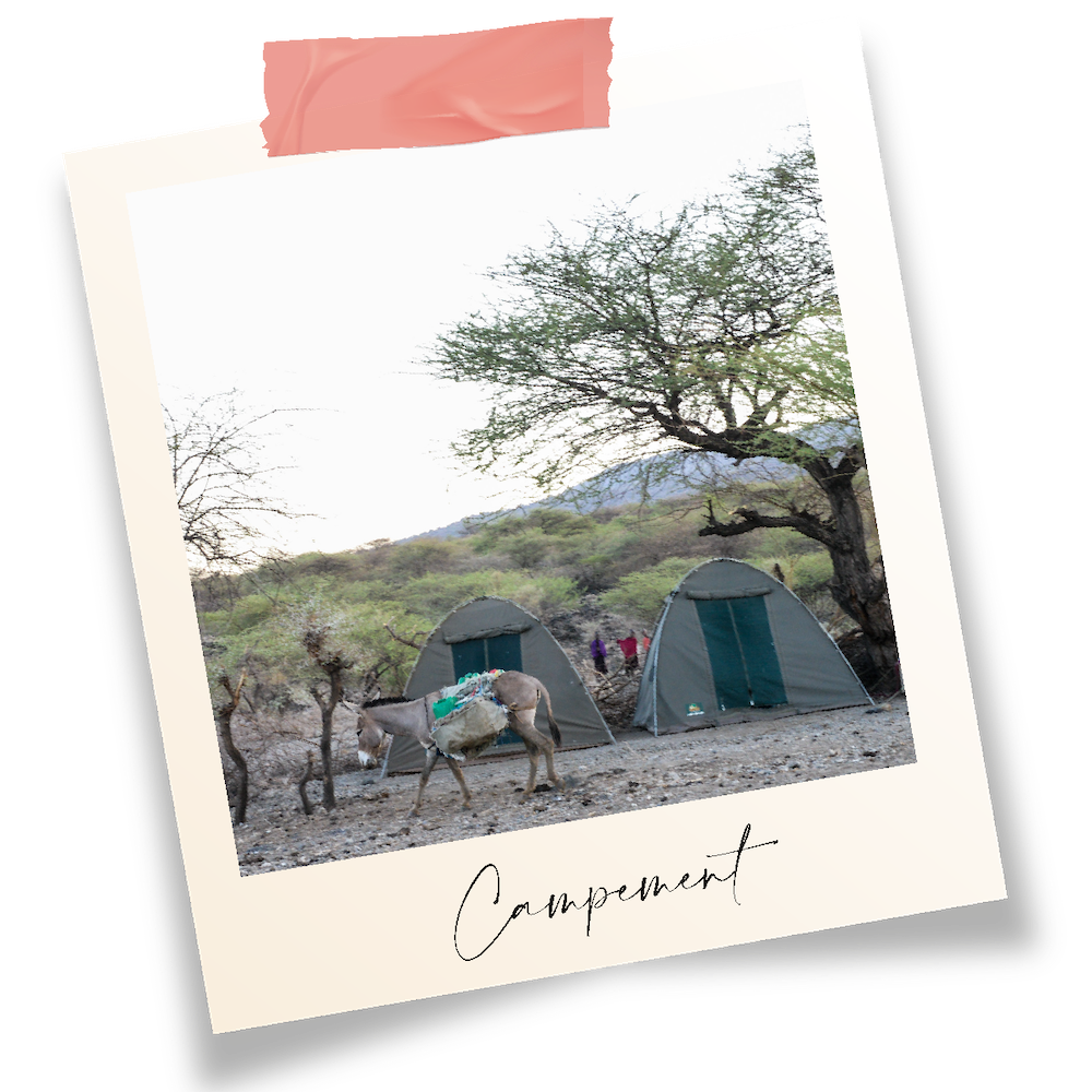 Campement en tente, les ânes se reposent devant le campement