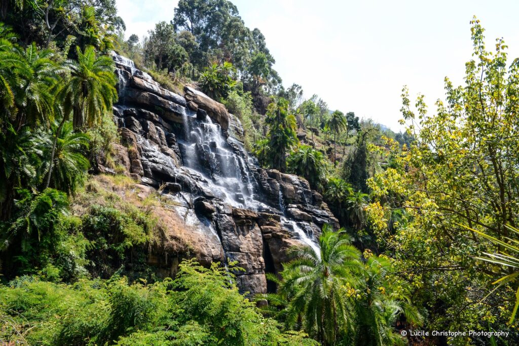 Cascade Kisasa - Lushoto