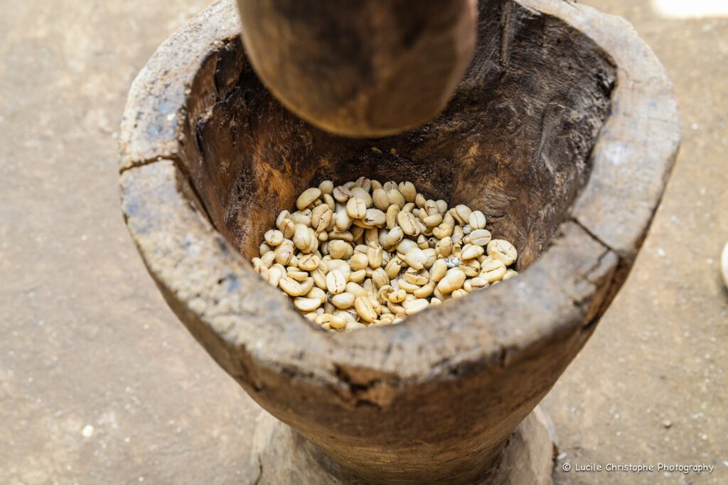 Coffee Tour, activité sur la ville de Moshi, balcon du Kilimandjaro