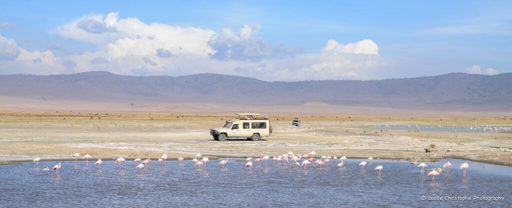 Cratère du ngorongoro avec ses flamands rose