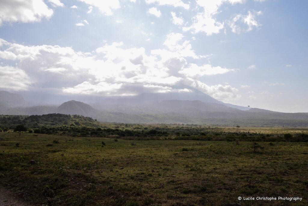Paysage du parc national d’Arusha avec plaines verdoyantes et reliefs montagneux en arrière-plan