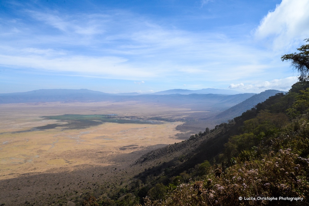 Cratère Ngorongoro