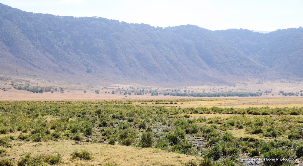 Cratère Ngorongoro