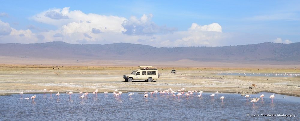 Cratère Ngorongoro