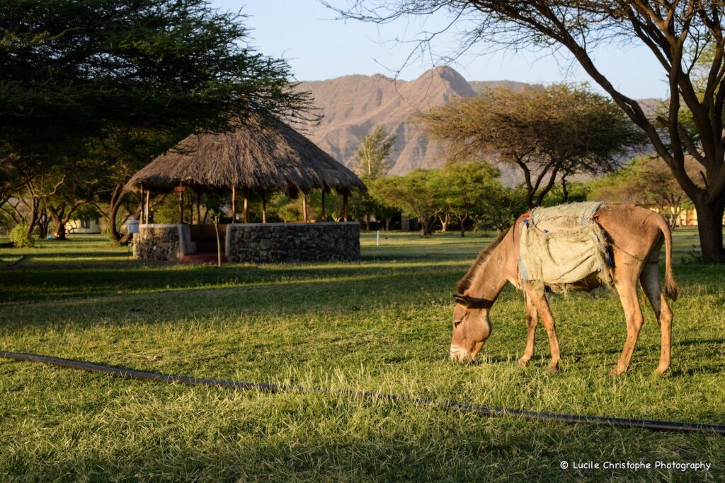 Départ pour un trek en région Natron