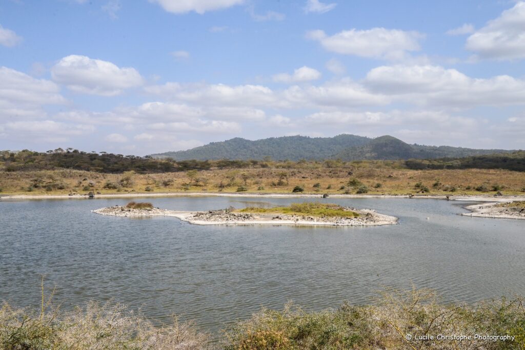 Étendue d’eau avec un petit îlot dans le parc national d’Arusha, Tanzanie