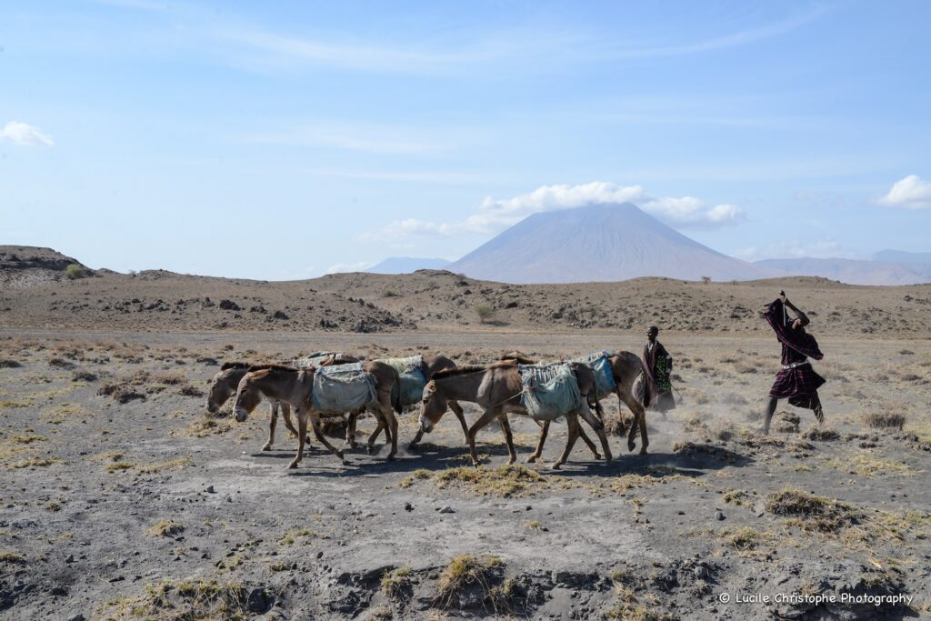 Immersion Maasaî en région Natron, rando jusuq'au village
