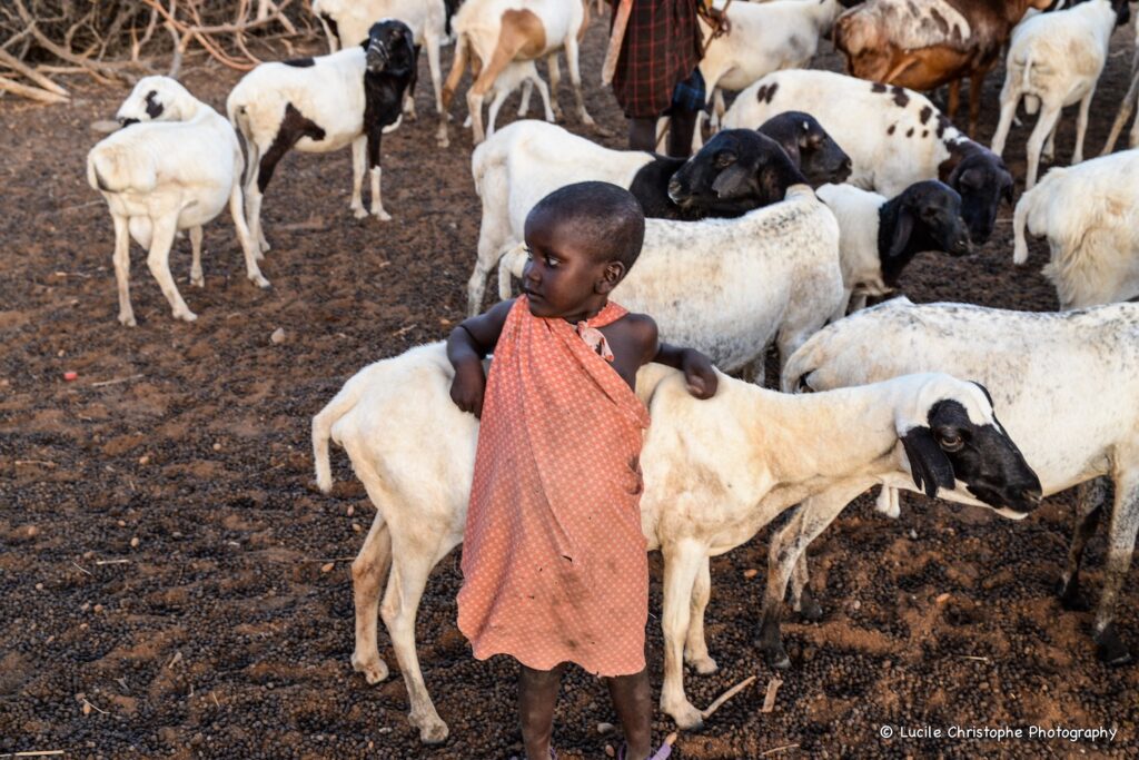 Immersion authentique Natron