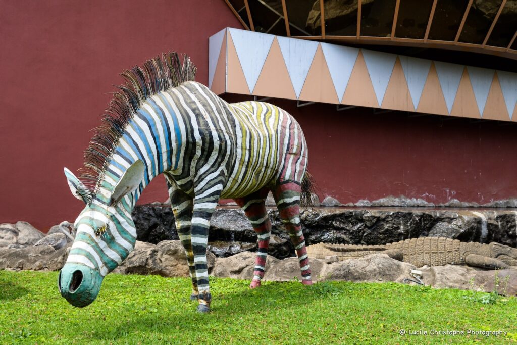 Musée de l'art Africain, ville d'Arusha