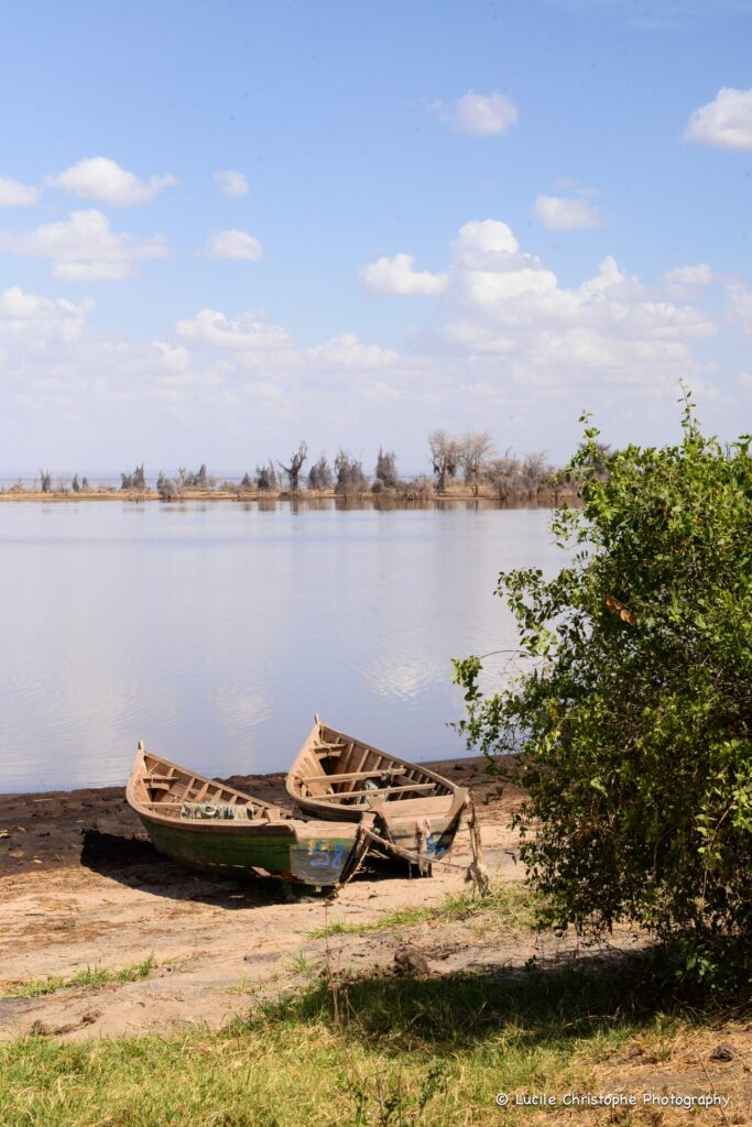 Parc national du Lac Manyara