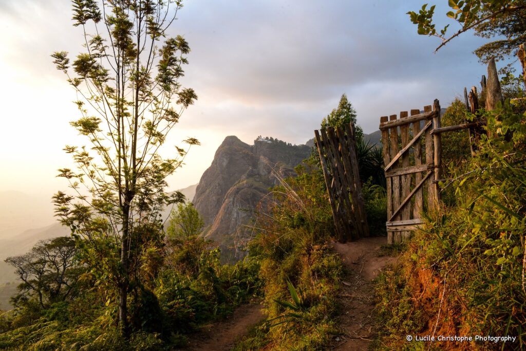 Rando Irente - Point de vue