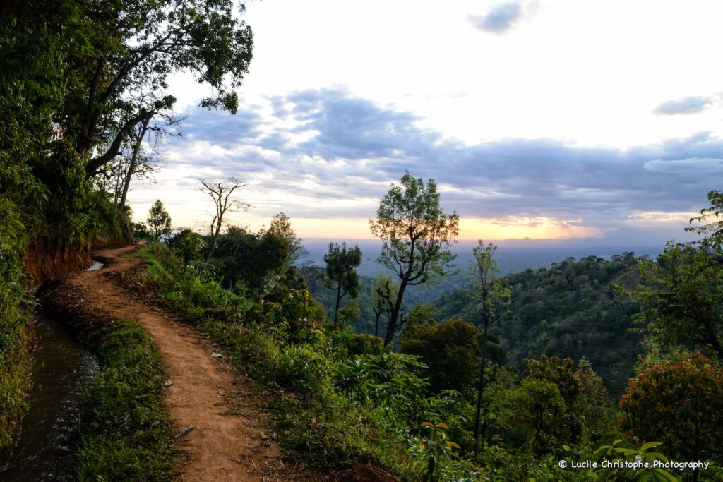 Sentier vers la cascade de Materuni, région de Moshi