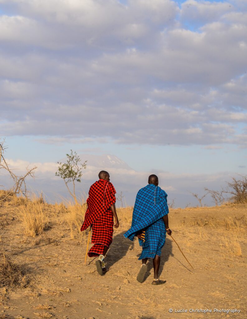 Terre Maasaï de Engare Nanyuki, vue Kili et Maasaï