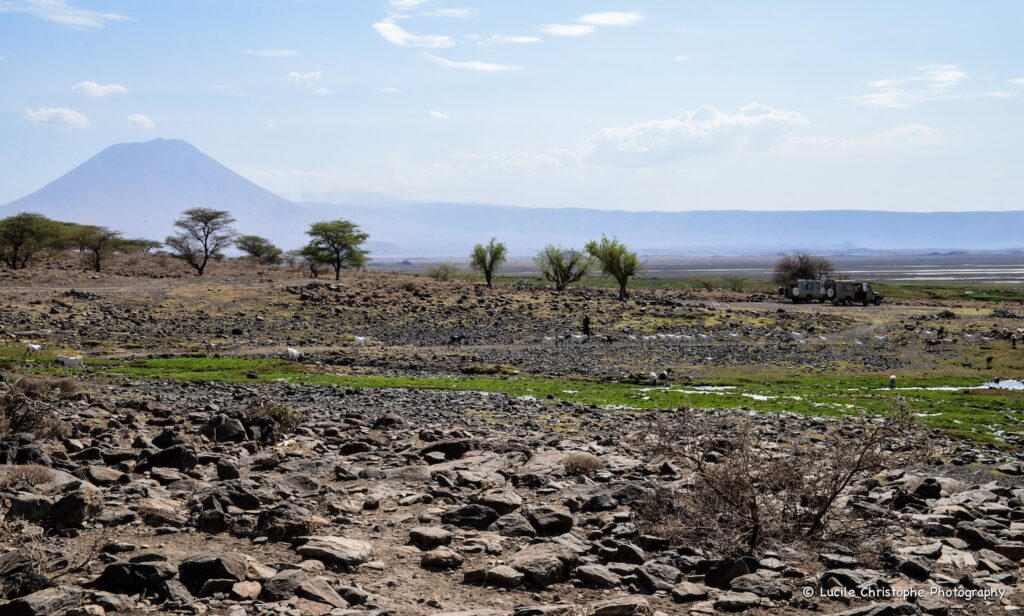 Vue sur Oldonyo Lengai, volcan sacré des Maasaï