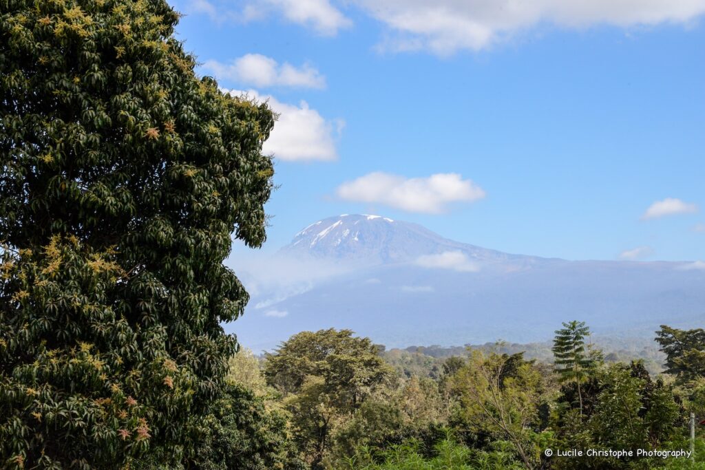 Vue sur le Kilimandjaro depuis la ville de Moshi