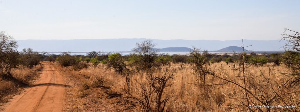 Vue sur le Lac Burunge depuis le parc national du Tarangire, retour sur le lodge