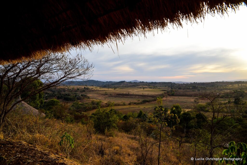 Vue sur les cultures de Karatu