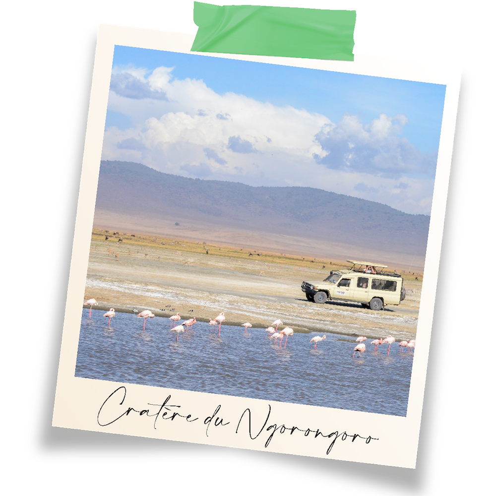 zone de conservation du Ngorongoro et ses flamants roses