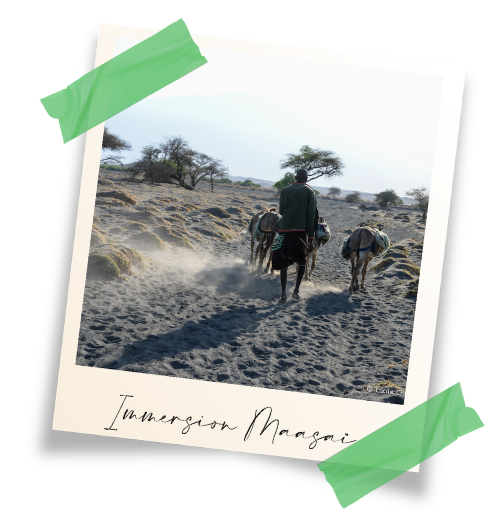 immersion massaï