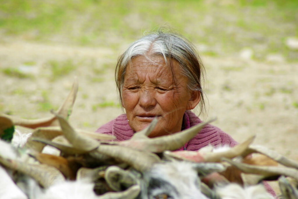 Nomade au lac TsoMoriri