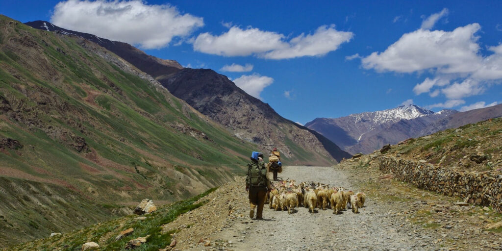 Sur les routes du Ladakh