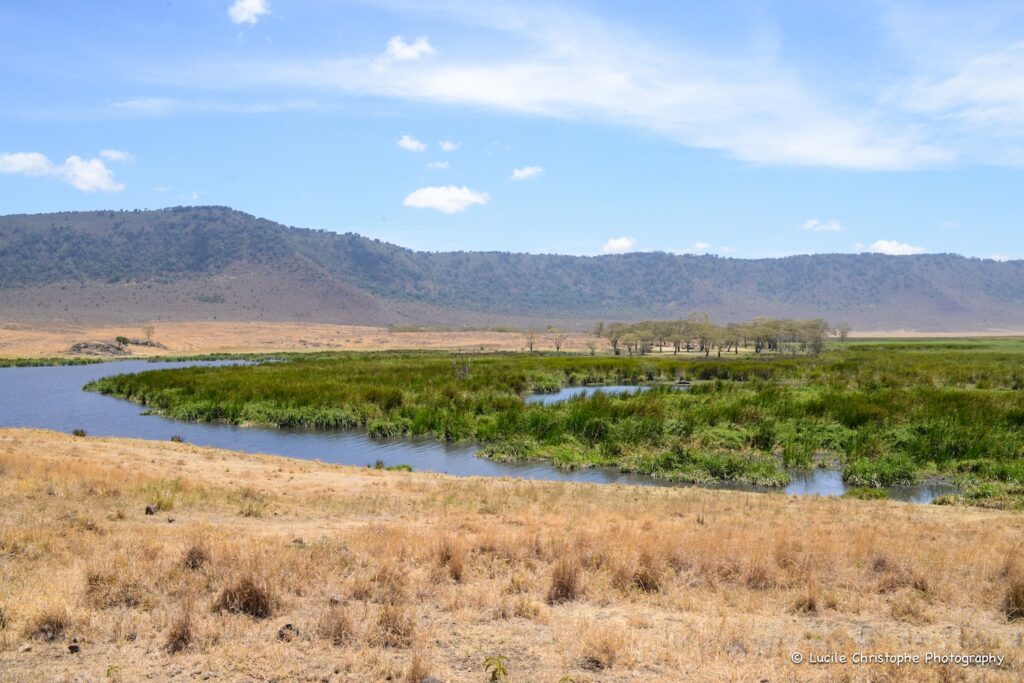 Cratère du Ngorongoro, Tanzanie
