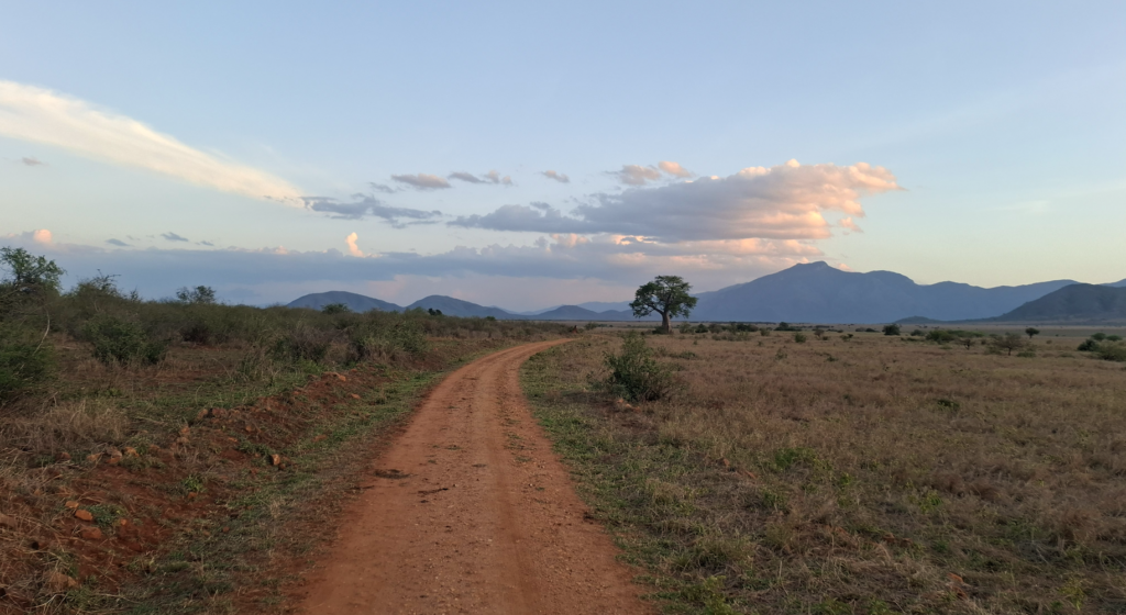 Paysage Mkomazi, Tanzanie