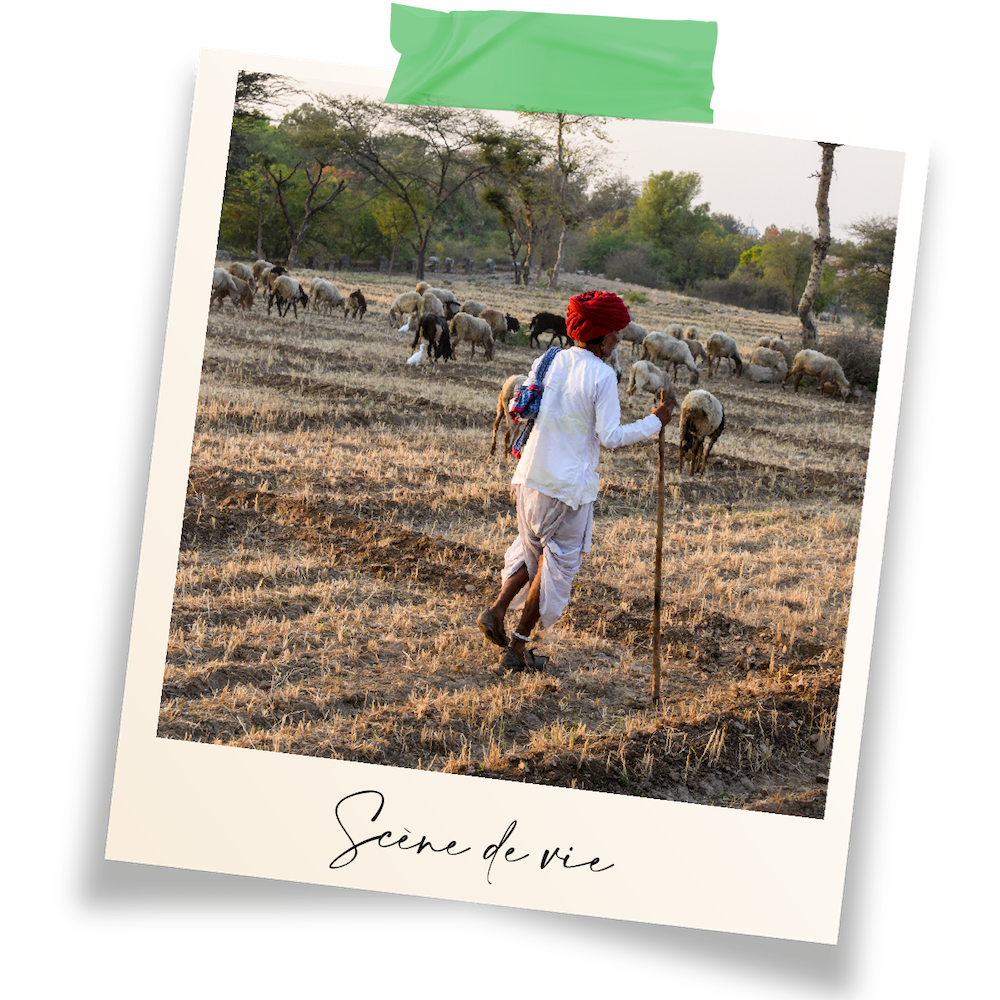 Scène de vie locale, Inde