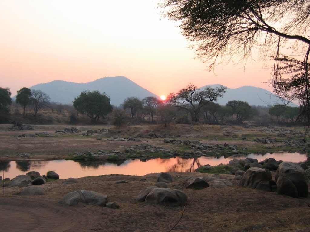 Paysage Ruaha, Tanzanie