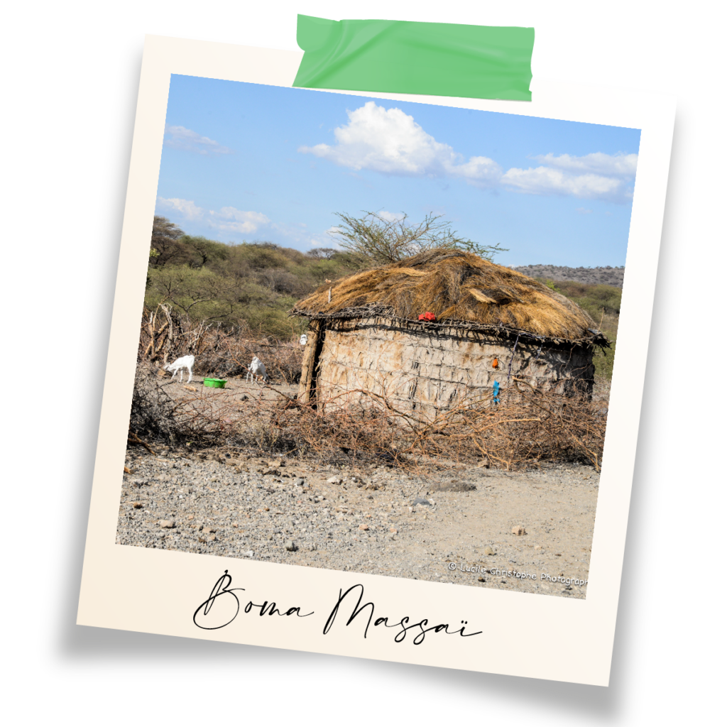 Boma massai, habitat traditionnel, Tanzanie