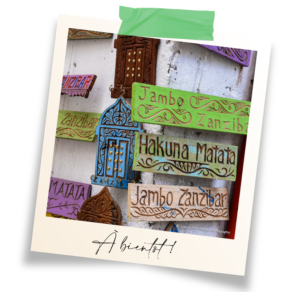 hakuna matata, Tanzanie