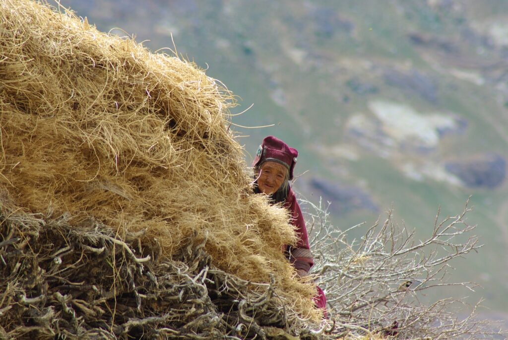 Sur les hauteurs d'un toit au Zanskar