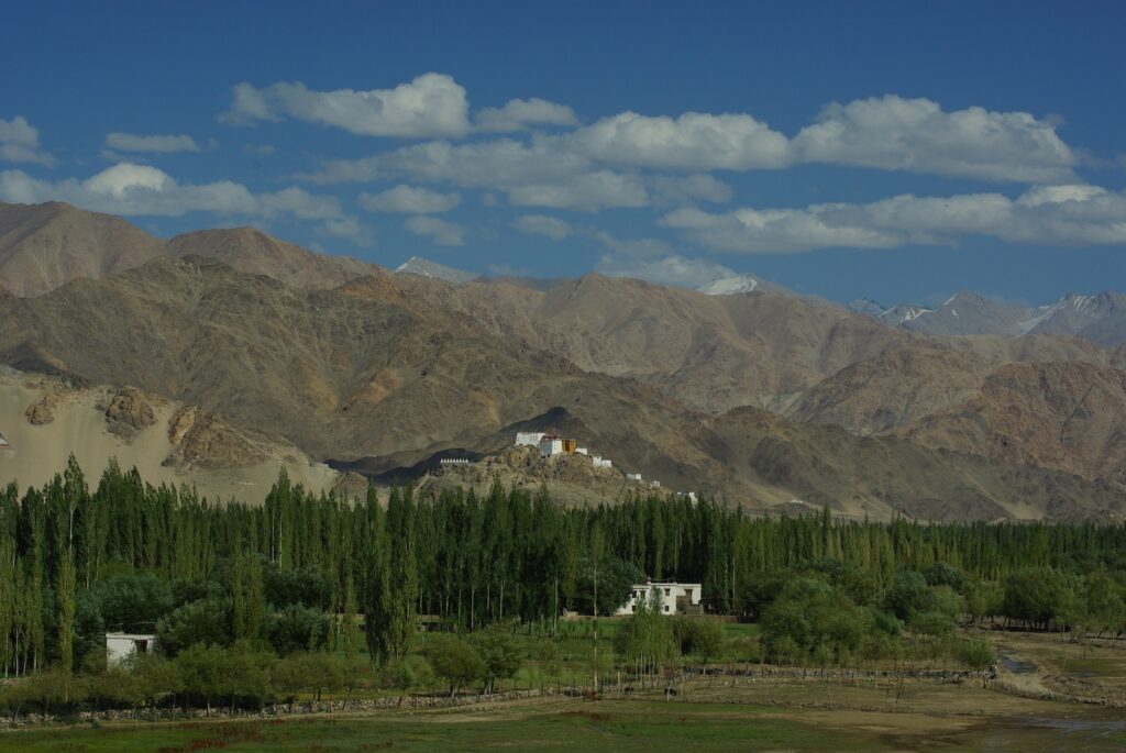 Vallée de l'Indus - Ladakh