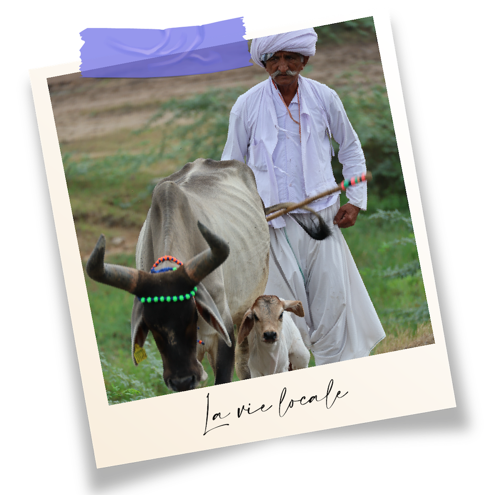 Scène de vie locale en Inde