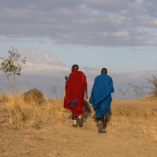 DSC_7450 Maasaï sur fond de Kilimandjaro à Engare Nanyuki